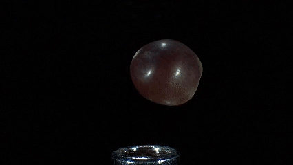 1月7日.gif 1月7日.gif